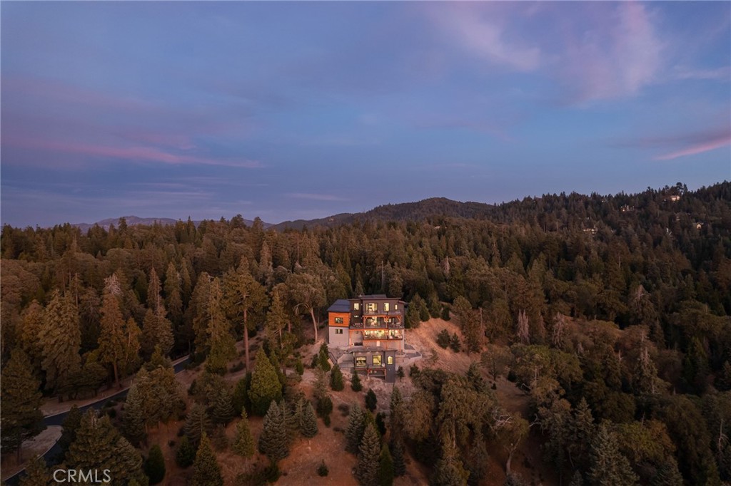 292 Ponderosa Peak Road Lake Arrowhead, CA 92352 - Photo 46 of 48