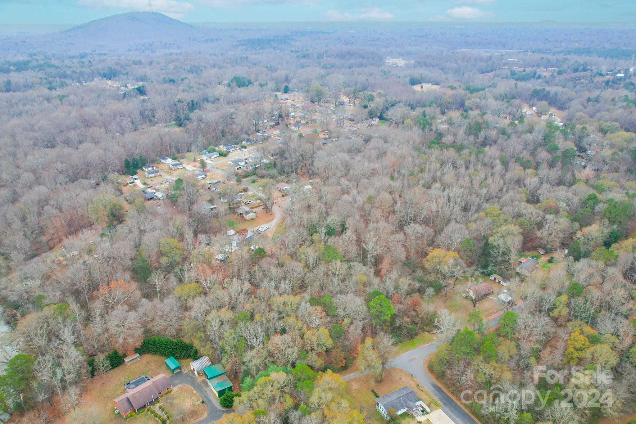 0 Dallas Spencer Mountain Road Dallas, NC 28034 - Photo 4 of 14 a view of a field with plants and trees