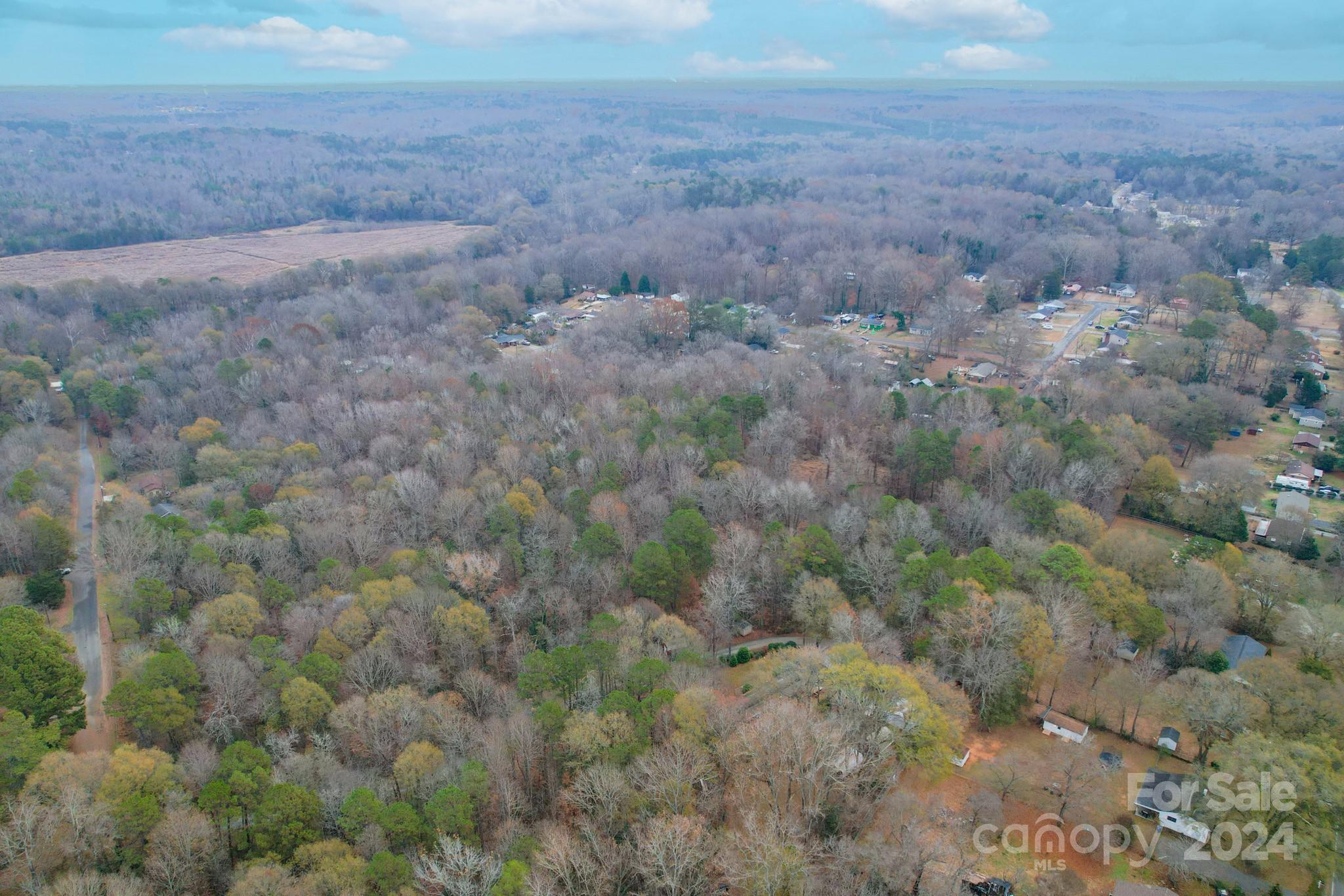 0 Dallas Spencer Mountain Road Dallas, NC 28034 - Photo 8 of 14 a view of a dry yard with trees