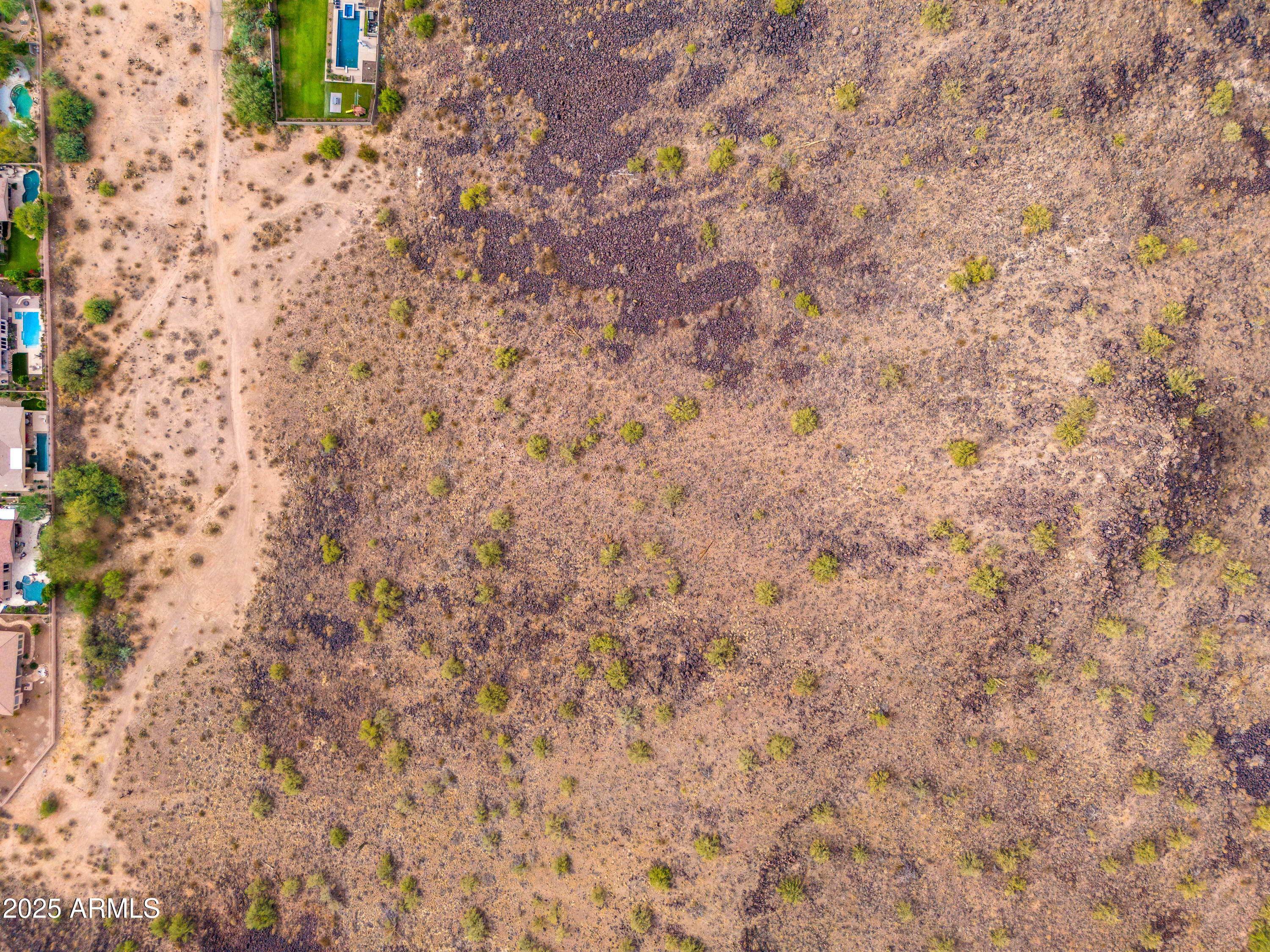 13358 East Mountain View Road Scottsdale, AZ 85259 - Photo 27 of 27 a close up of a tree