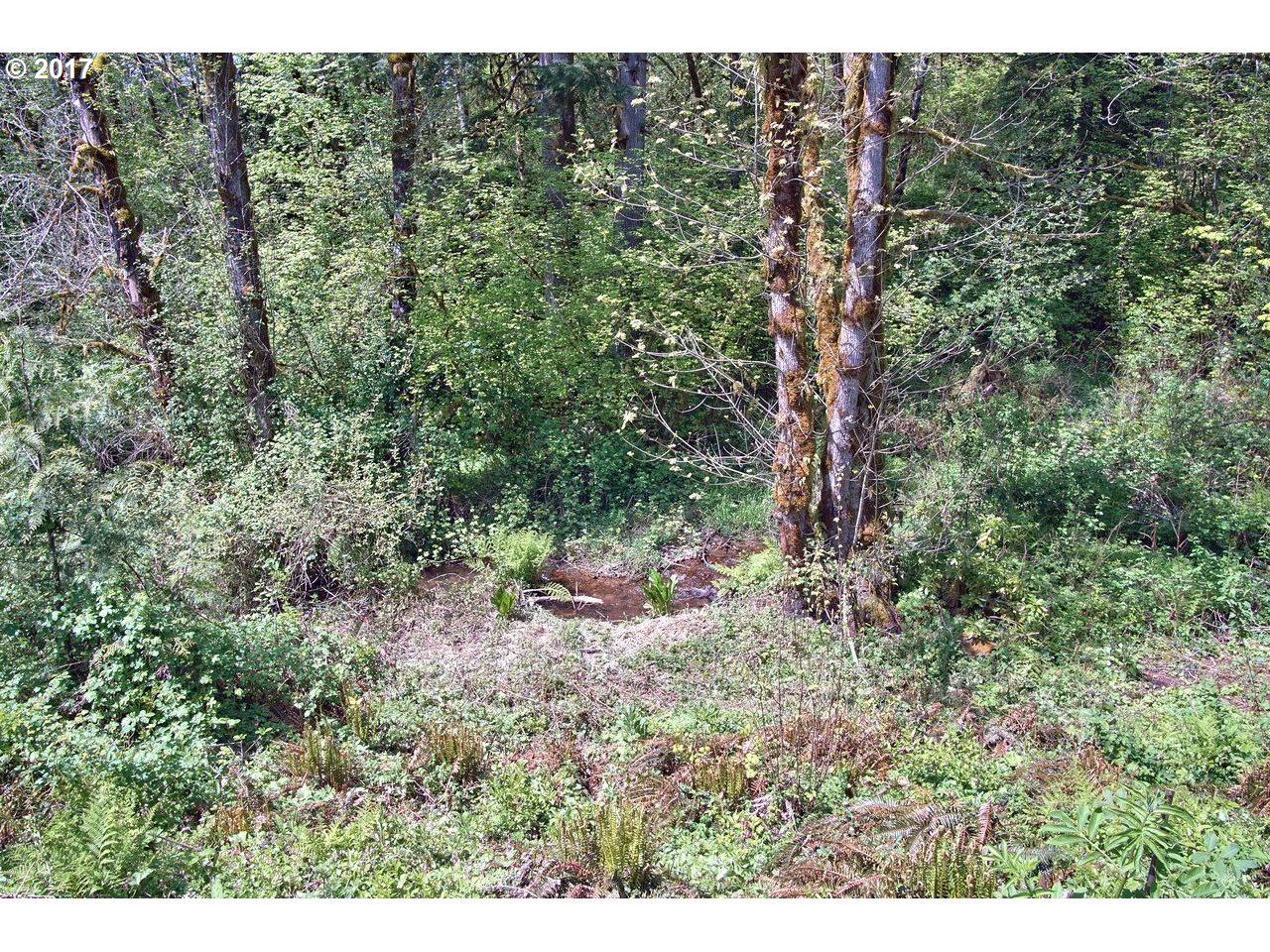 37407 Northeast Amboy Road Yacolt, WA 98675 - Photo 18 of 31 Gallery Image 18