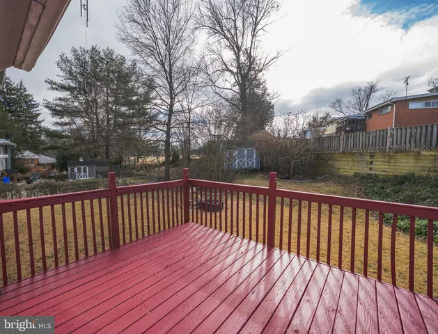 a view of a yard with large trees