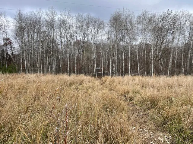 $20,000 | 39-xxx Osage Drive, Browerville, MN 56438