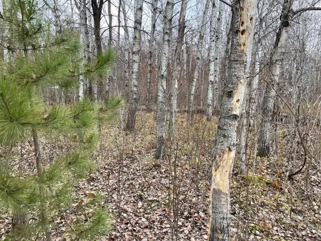 $20,000 | 39-xxx Osage Drive, Browerville, MN 56438