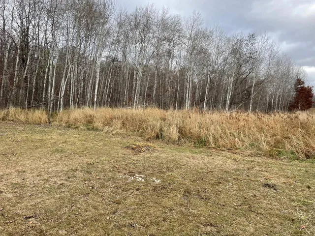 $20,000 | 39-xxx Osage Drive, Browerville, MN 56438