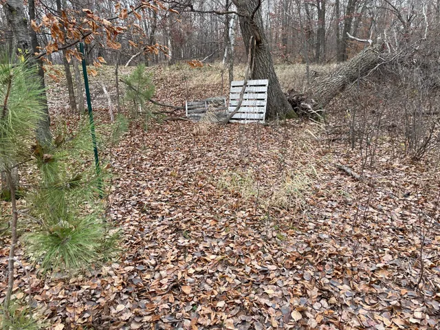 $20,000 | 39-xxx Osage Drive, Browerville, MN 56438