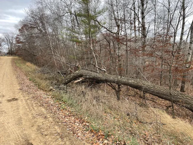 $20,000 | 39-xxx Osage Drive, Browerville, MN 56438