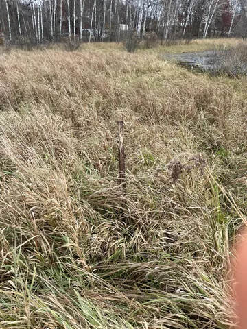 $20,000 | 39-xxx Osage Drive, Browerville, MN 56438