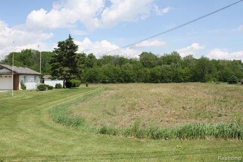 4450 East Dunbar Road Monroe, MI 48161 - Photo 20 of 21 IMG_0001.jpg