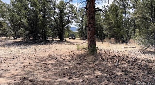 Tbd Westcliffe, CO 81252 - Photo 4 of 12