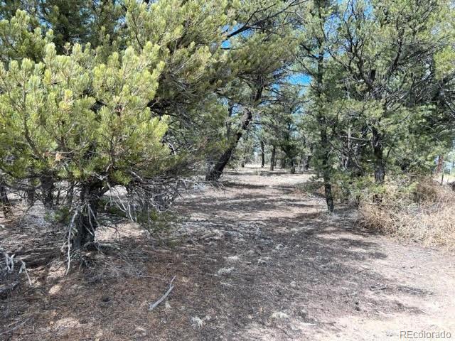 Tbd Westcliffe, CO 81252 - Photo 10 of 12