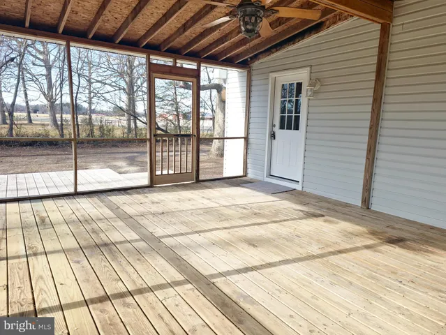 a view of a yard with trees