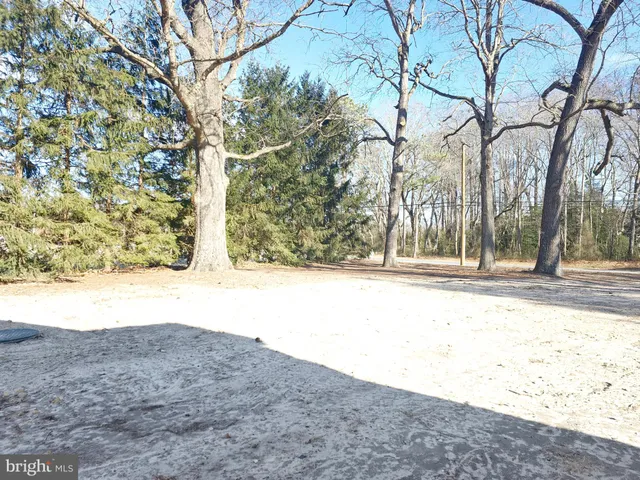 a view of a yard with large trees