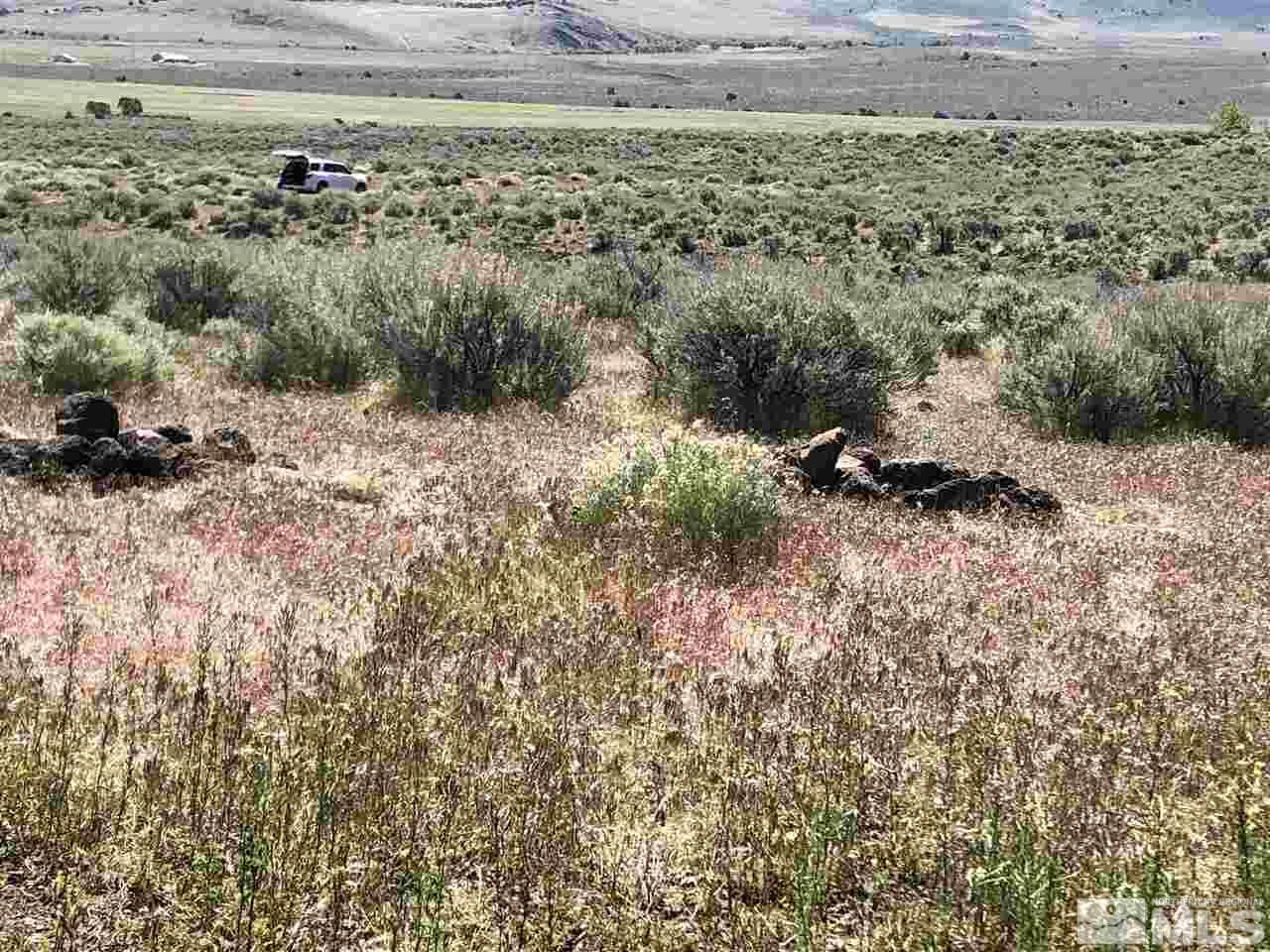 0 Serenity, Unit 5 Reno, NV 89510 - Photo 8 of 9 a view of a dry yard with and trees