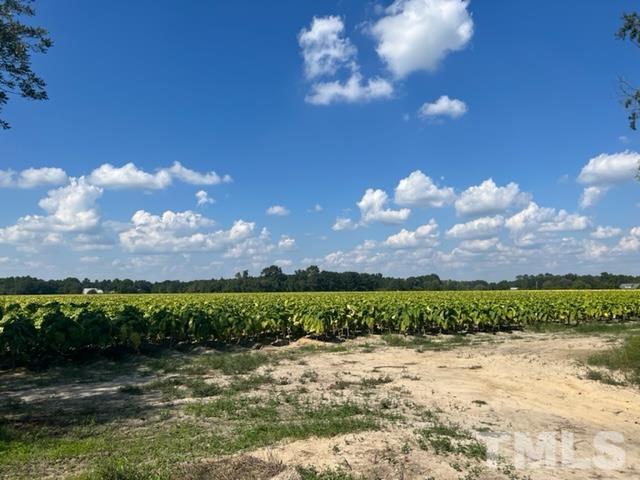 3865 Reedy Prong Church Road Dunn, NC 28334 - Photo 2 of 2 a view of a lake