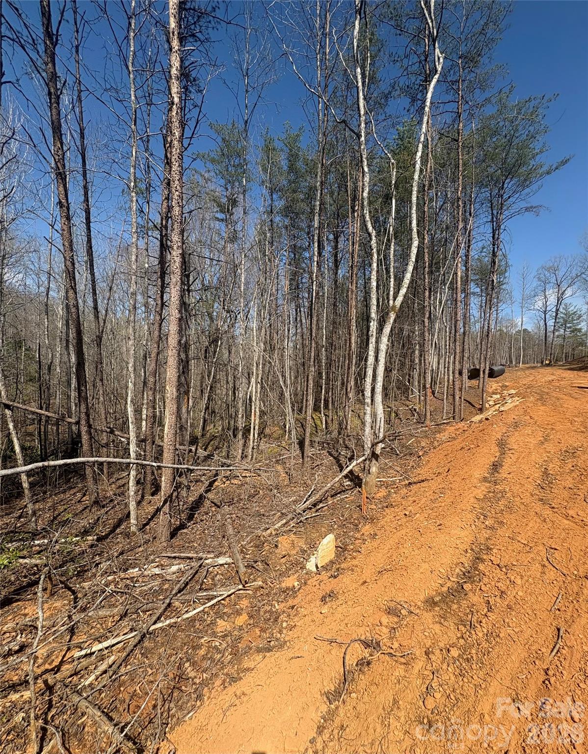 Tbd Avenida De Oro Road, Unit 3 1 Morganton, NC 28655 - Photo 3 of 4 a view of a backyard of the house