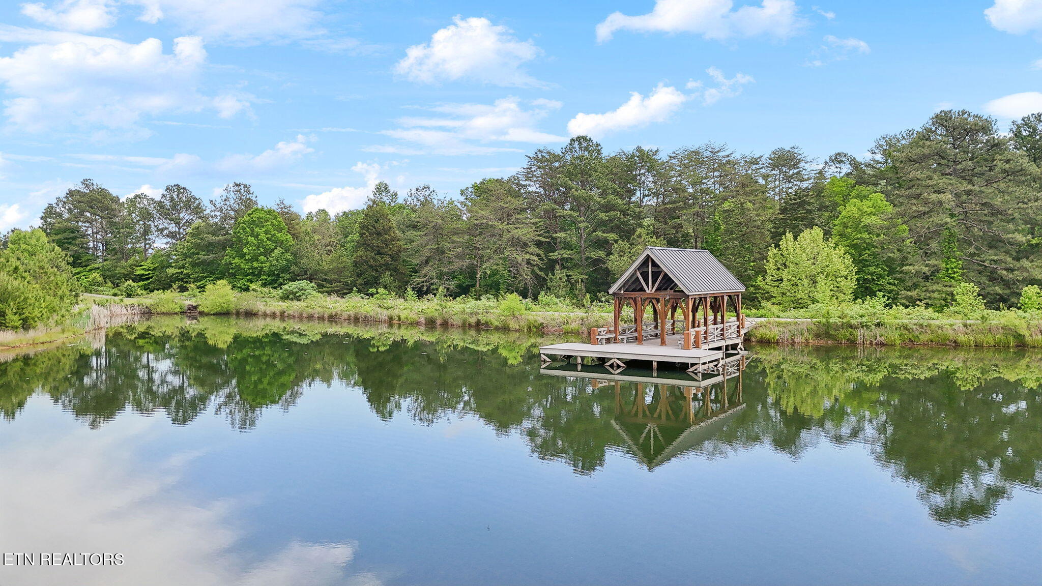 650 Enclave Point Kingston, TN 37763 - Photo 45 of 52 Neighborhood pond