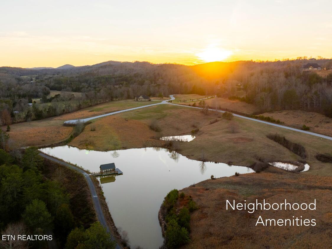 650 Enclave Point Kingston, TN 37763 - Photo 46 of 52 neighborhood amenities - Pond