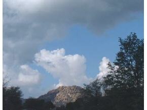 0 Black Jack Ridge Road Prescott, AZ 86305 - Photo 1 of 2 Primary Photo