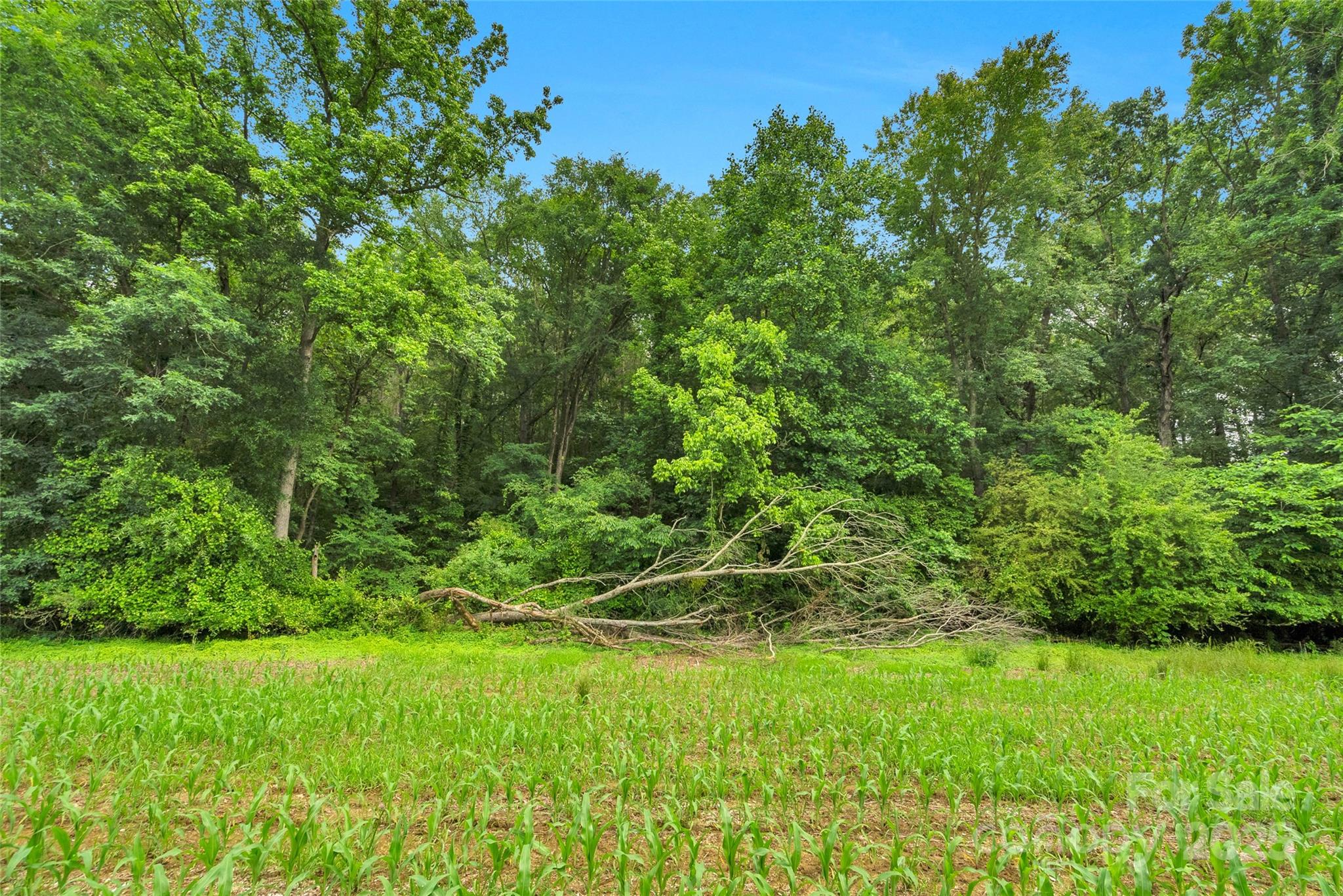 0 Lucy Short Cut Road, Unit 1 Marshville, NC 28103 - Photo 35 of 39