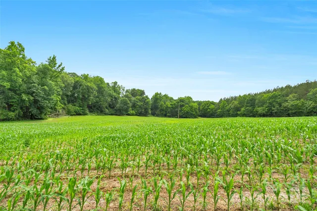 $270,000 | 0 Lucy Short Cut Road, Unit 1, Marshville, NC 28103