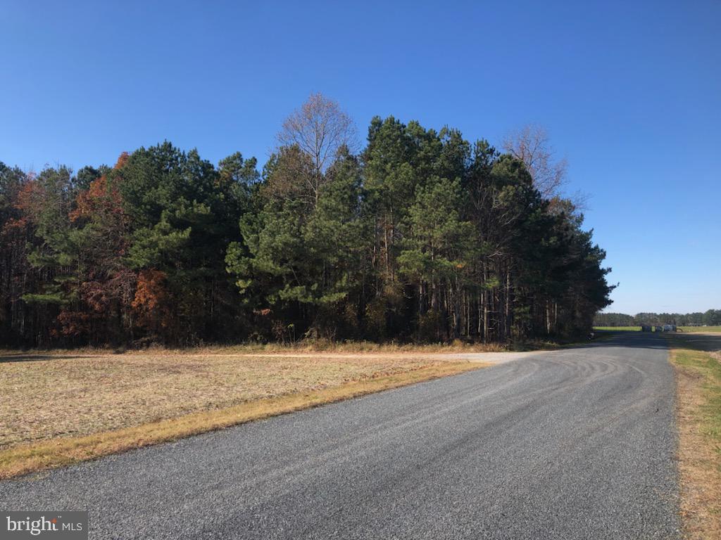Dion Road Denton, MD 21629 - Photo 2 of 2