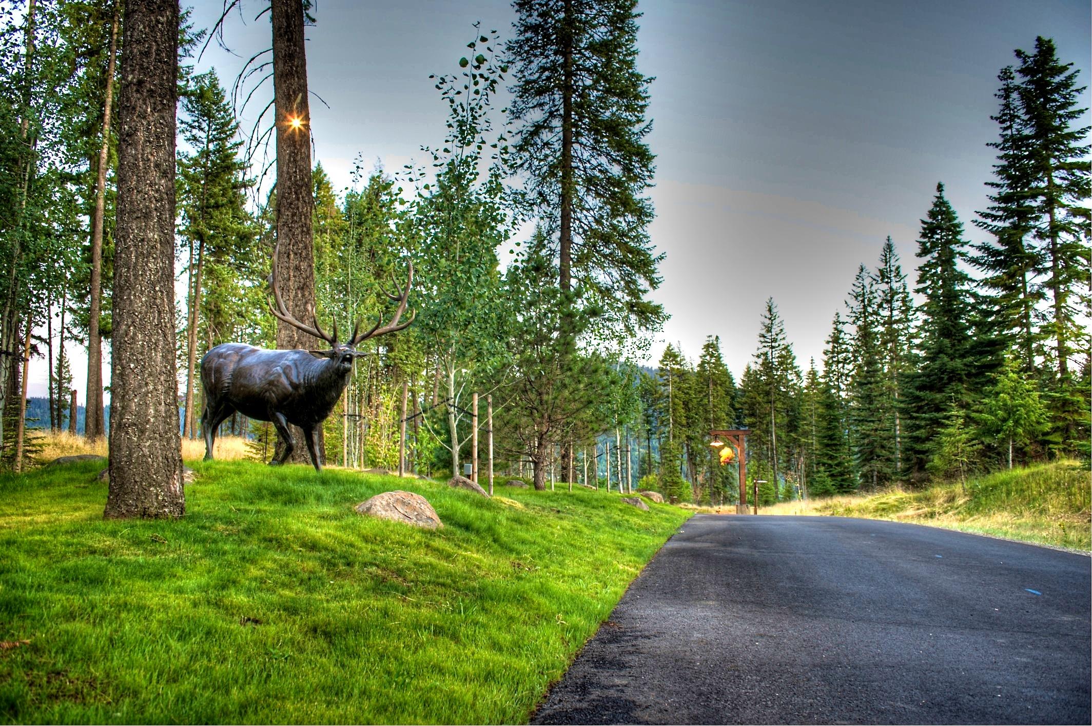 Lot 45 East Basin Falls Road Hayden, ID 83835 - Photo 1 of 1 Main