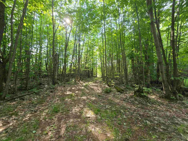 $190,000 | 882 Morse Road, Woodsville, NH 03785