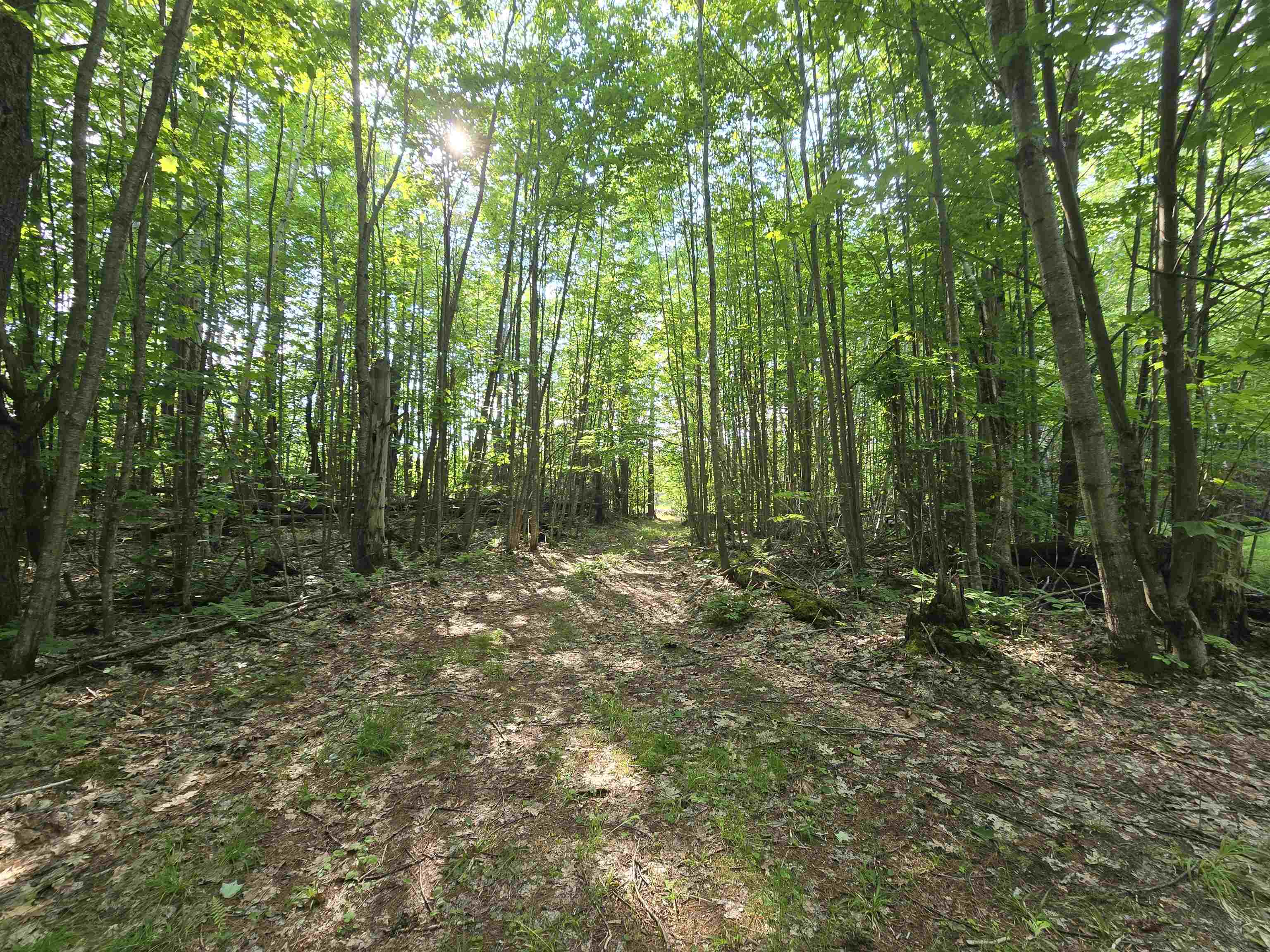 882 Morse Road Woodsville, NH 03785 - Photo 11 of 40