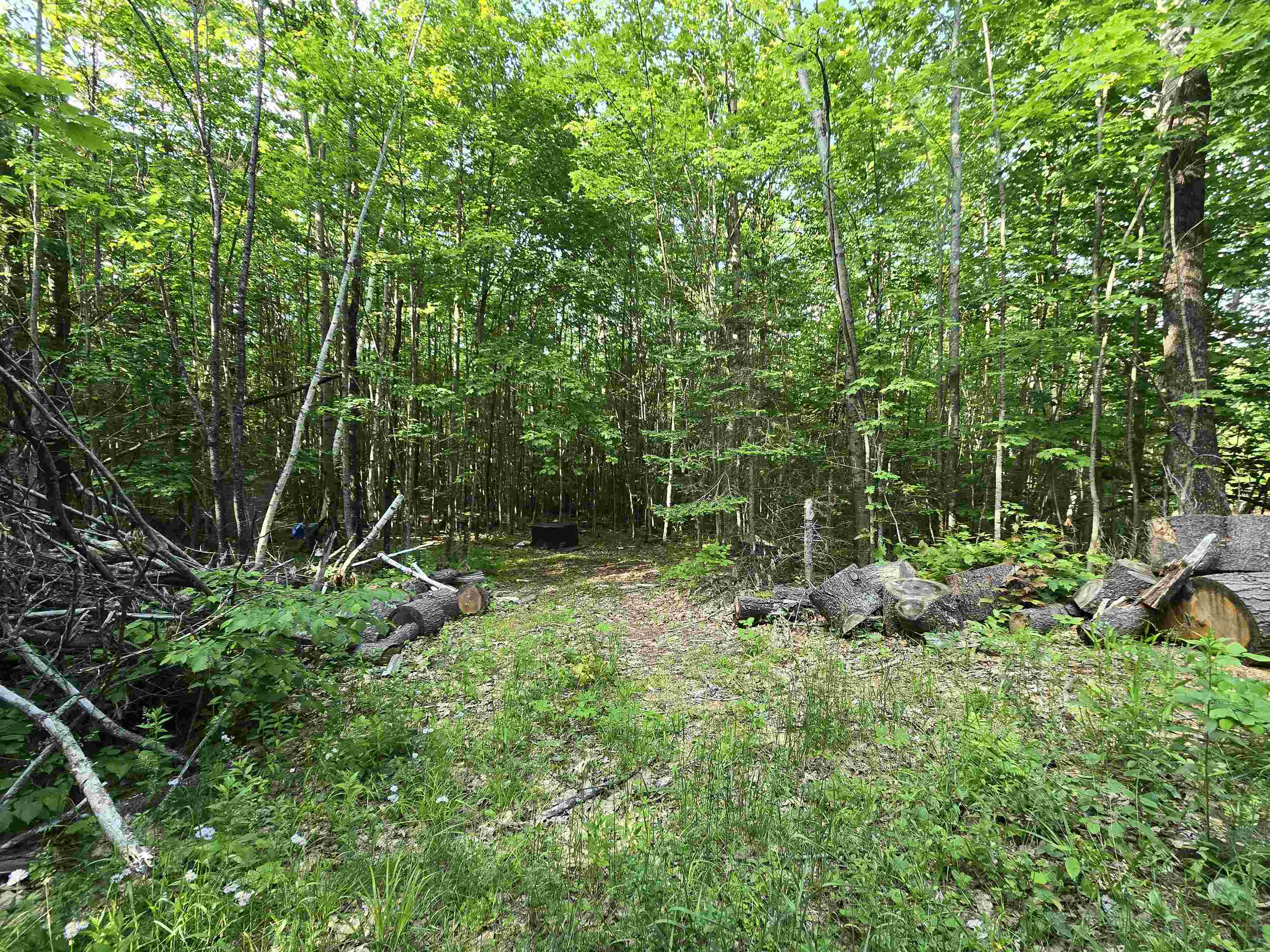 882 Morse Road Woodsville, NH 03785 - Photo 12 of 40