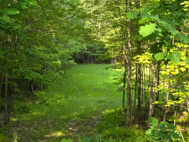 $190,000 | 882 Morse Road, Woodsville, NH 03785