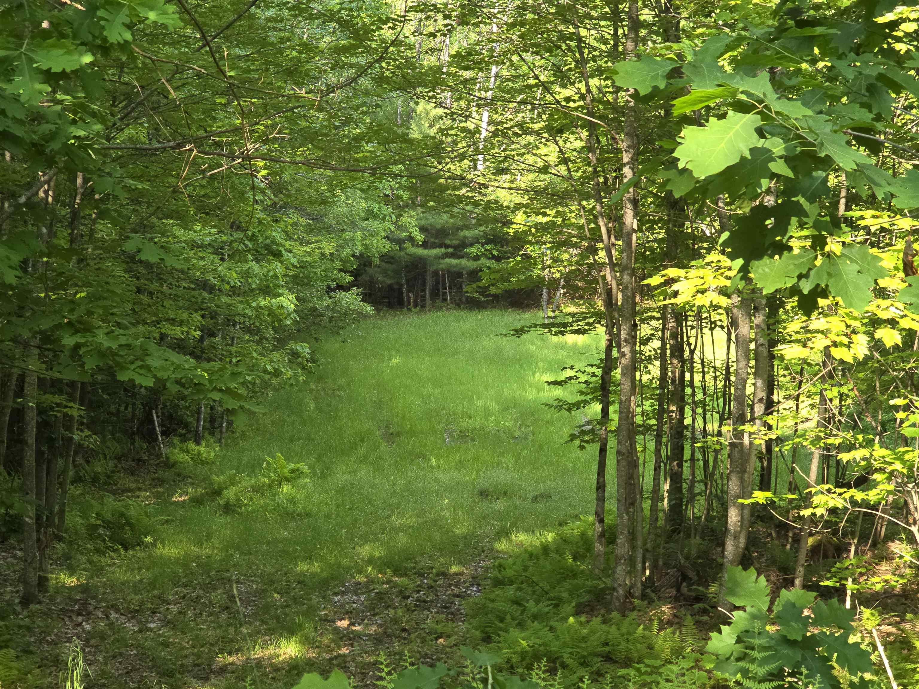 882 Morse Road Woodsville, NH 03785 - Photo 19 of 40