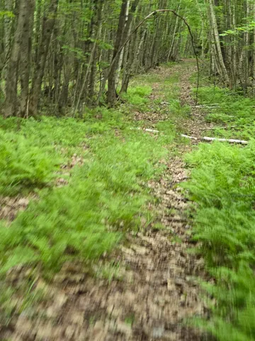 $190,000 | 882 Morse Road, Woodsville, NH 03785