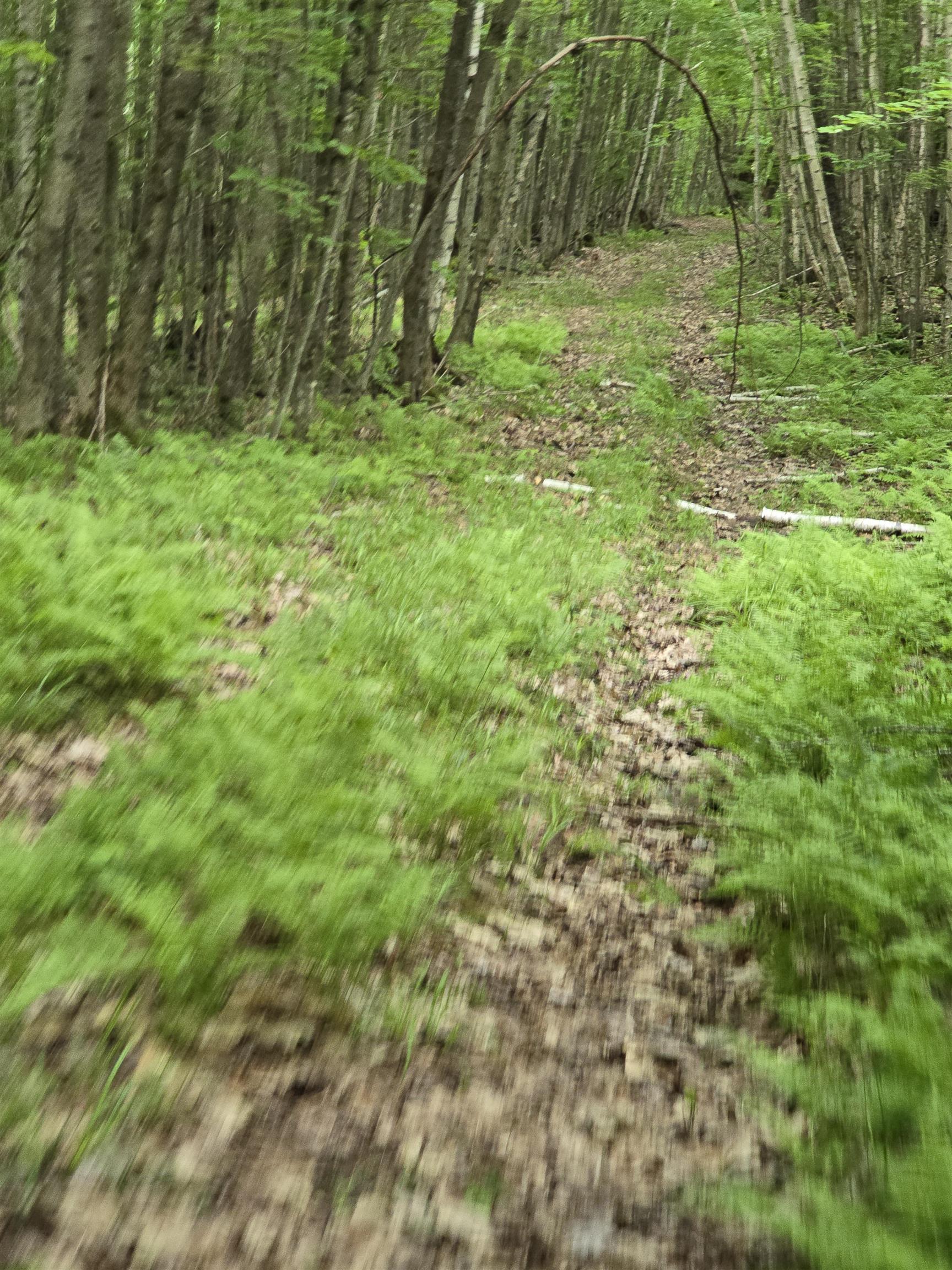 882 Morse Road Woodsville, NH 03785 - Photo 21 of 40