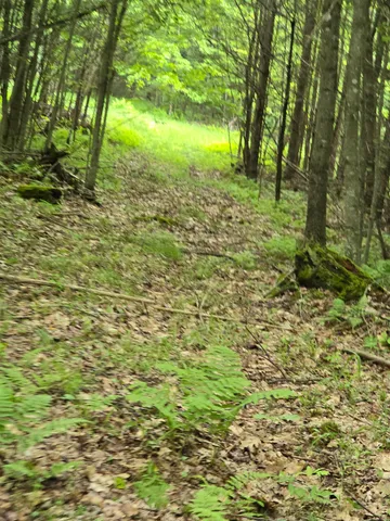 $190,000 | 882 Morse Road, Woodsville, NH 03785