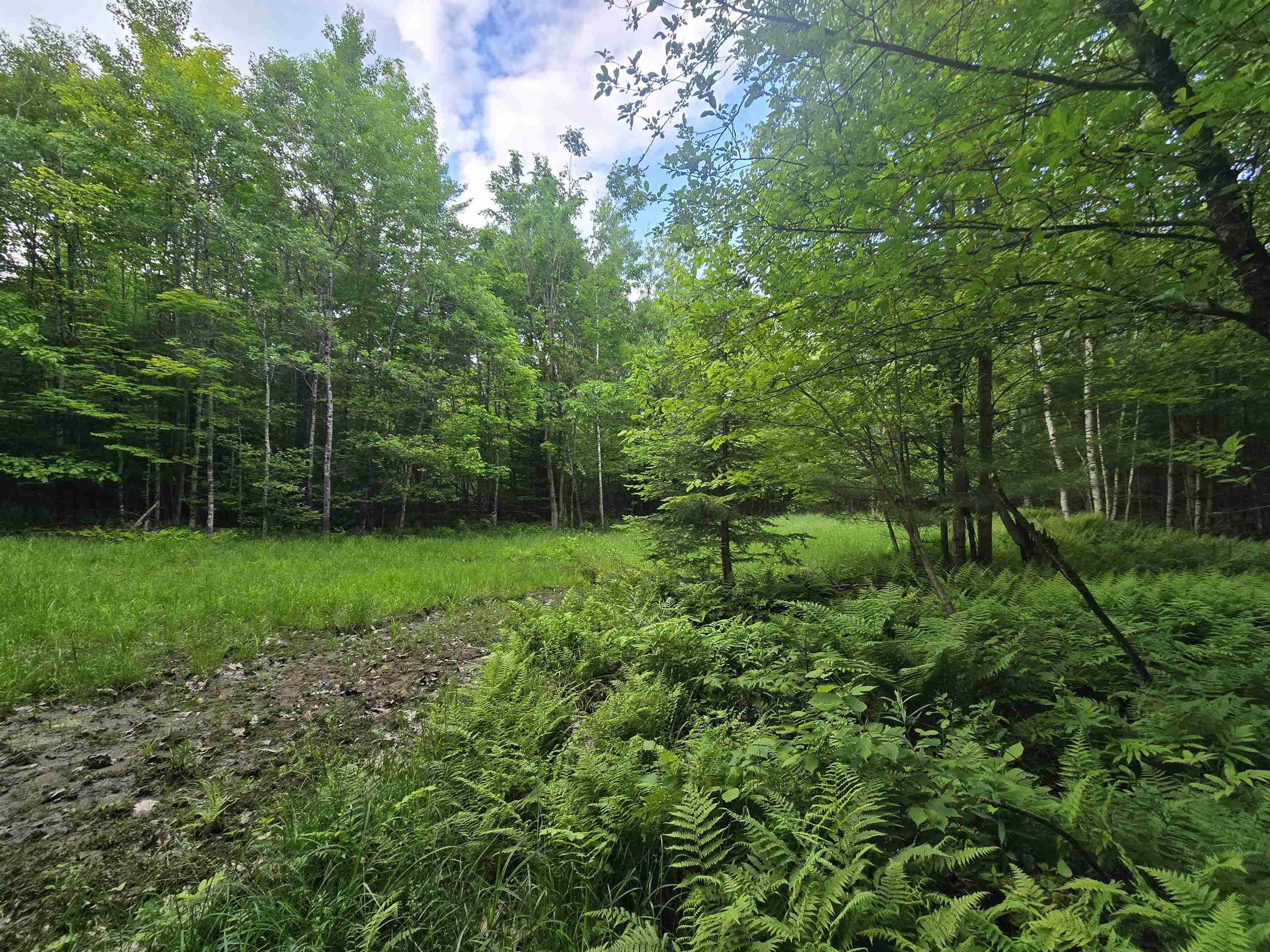 882 Morse Road Woodsville, NH 03785 - Photo 23 of 40