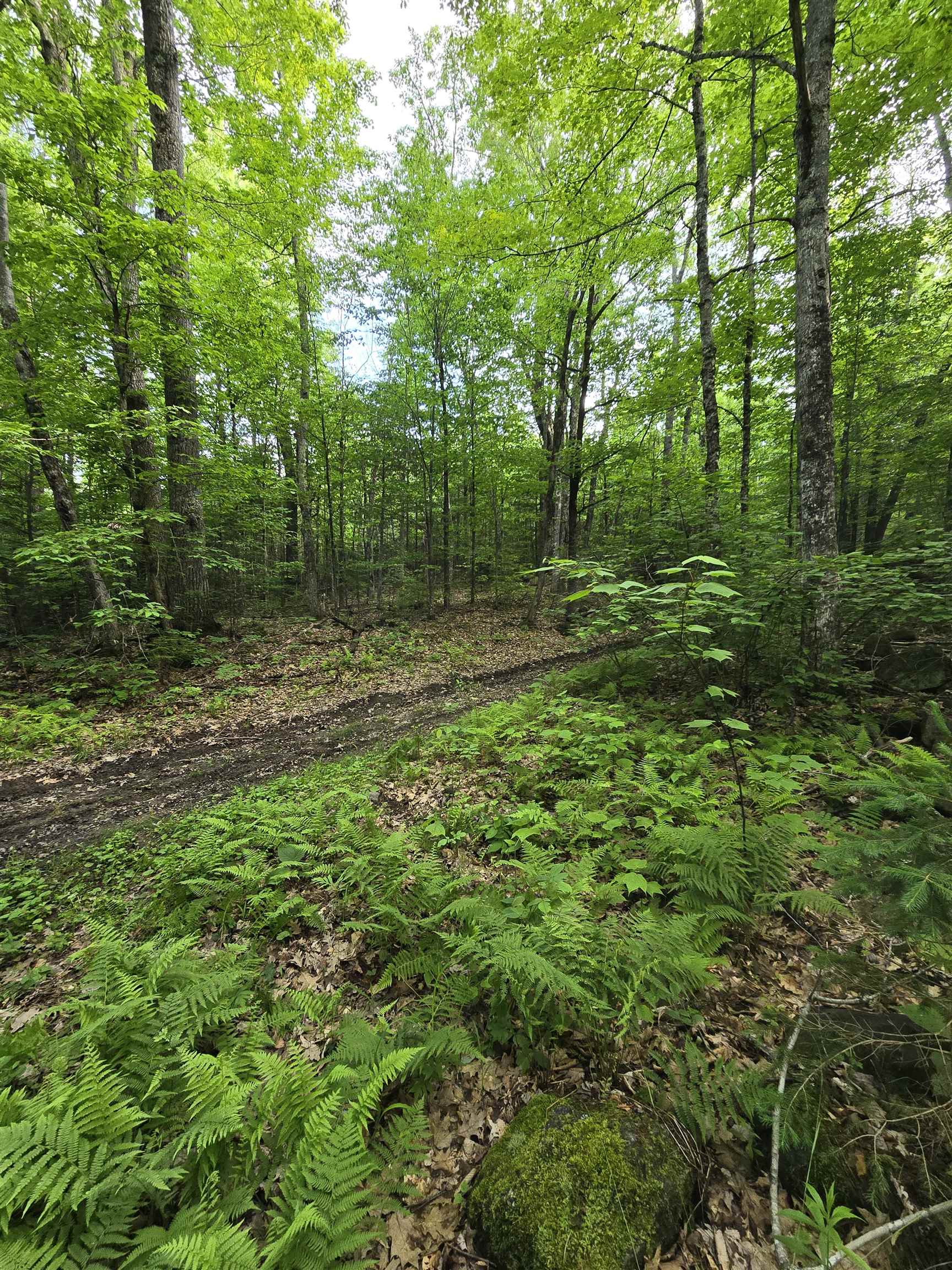 882 Morse Road Woodsville, NH 03785 - Photo 24 of 40