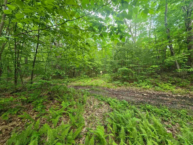 $190,000 | 882 Morse Road, Woodsville, NH 03785