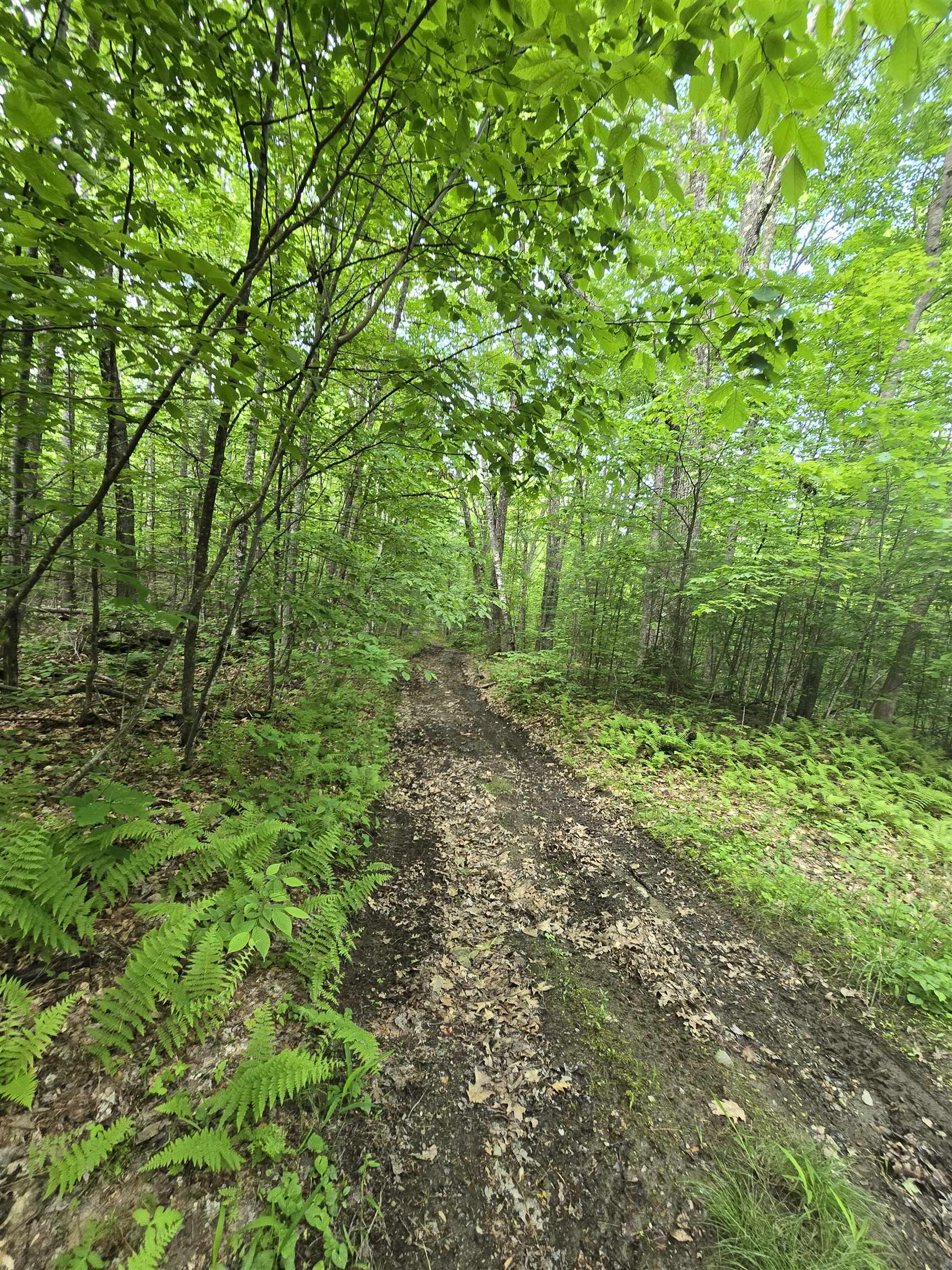 882 Morse Road Woodsville, NH 03785 - Photo 26 of 40