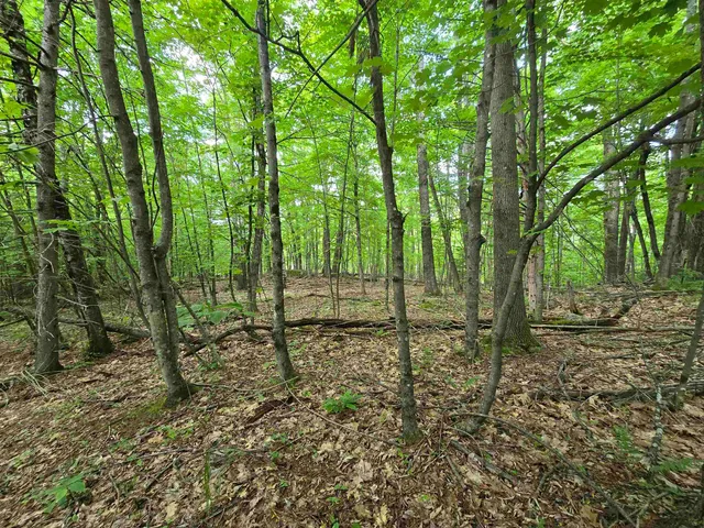 $190,000 | 882 Morse Road, Woodsville, NH 03785