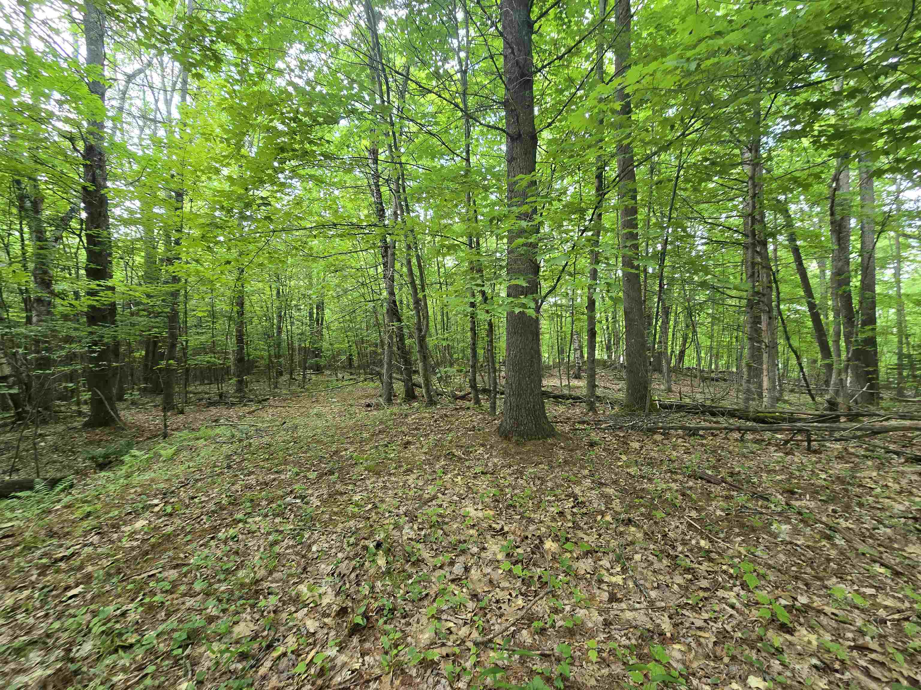 882 Morse Road Woodsville, NH 03785 - Photo 29 of 40