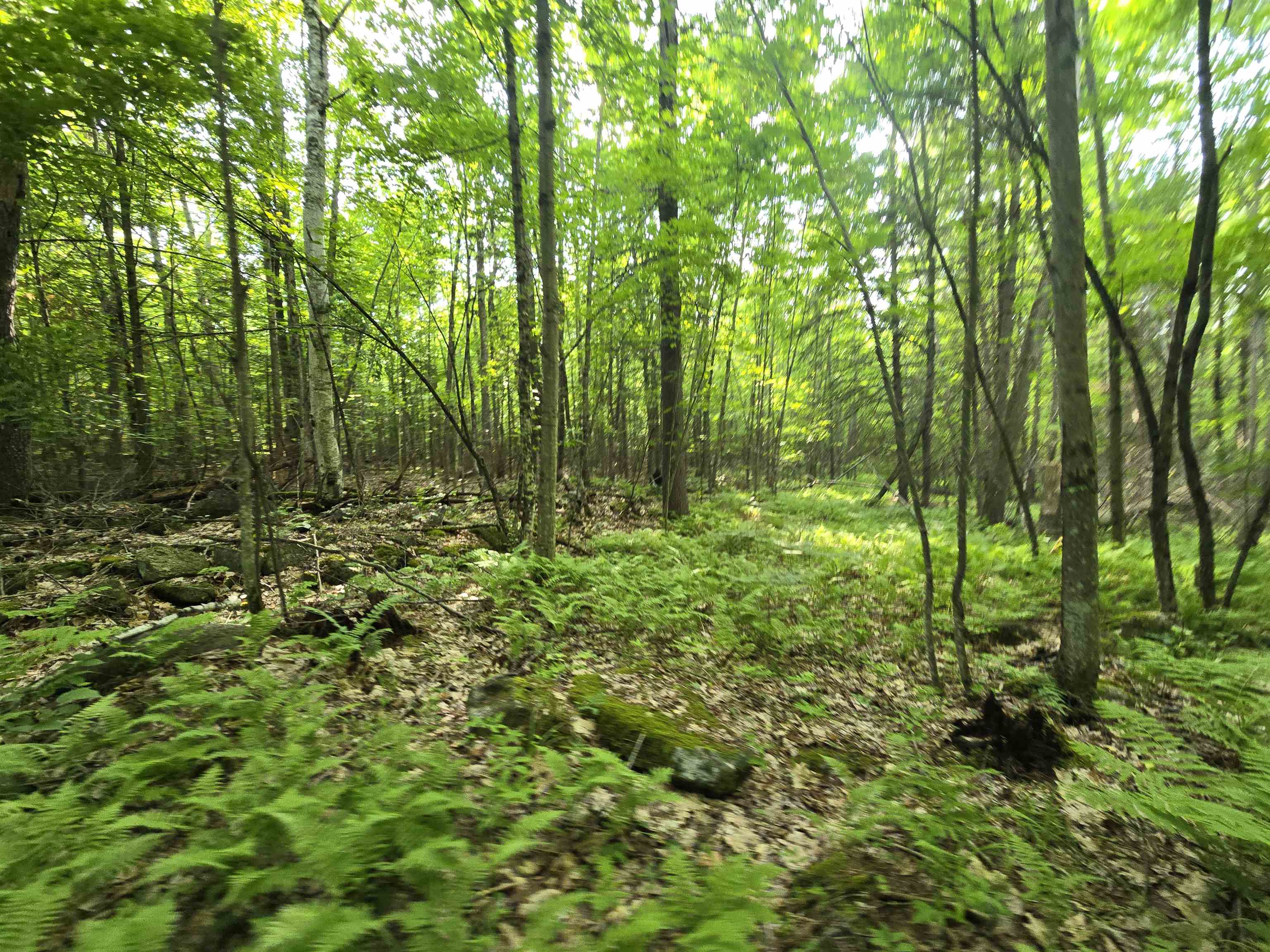 882 Morse Road Woodsville, NH 03785 - Photo 30 of 40