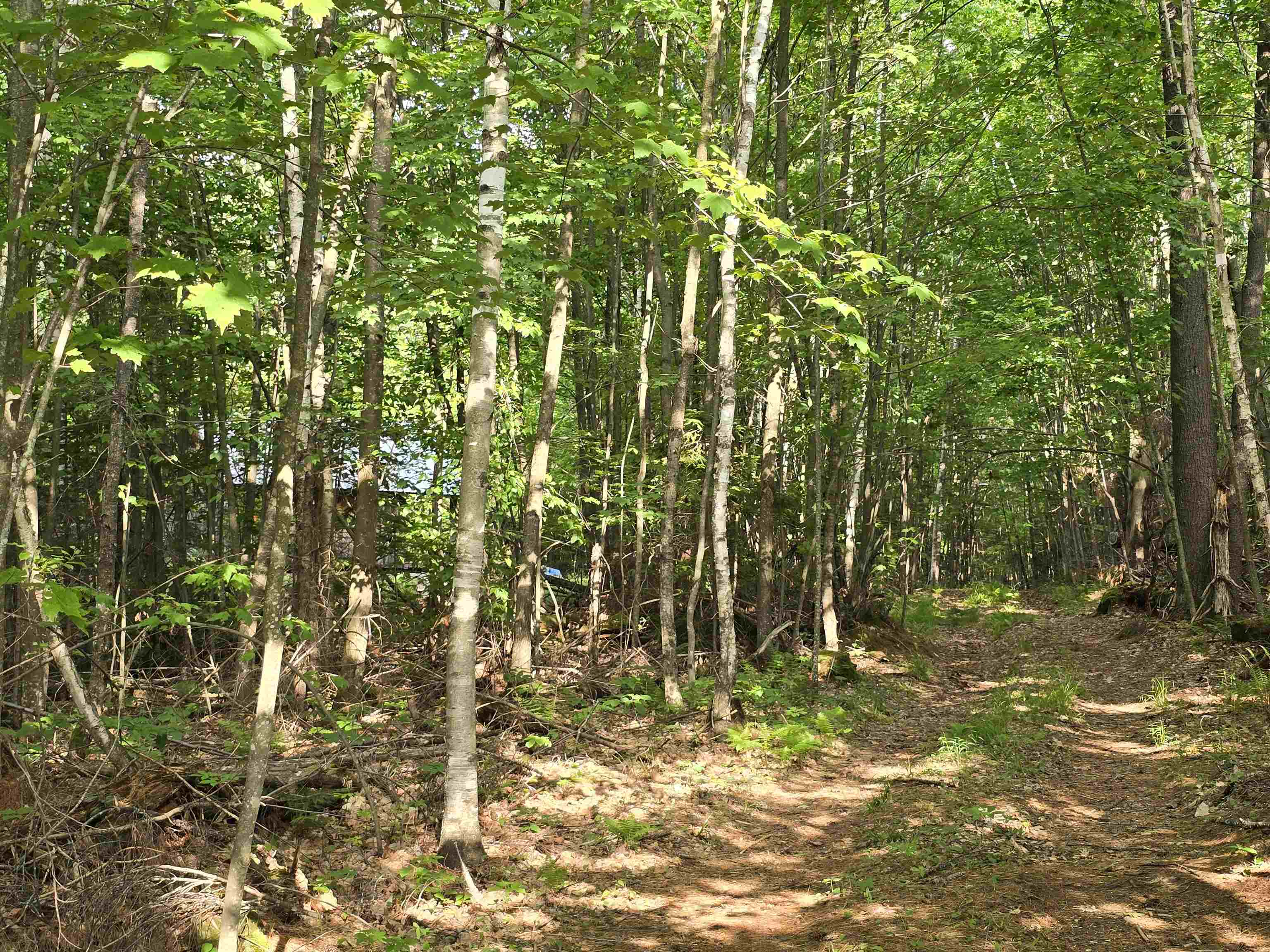 882 Morse Road Woodsville, NH 03785 - Photo 32 of 40