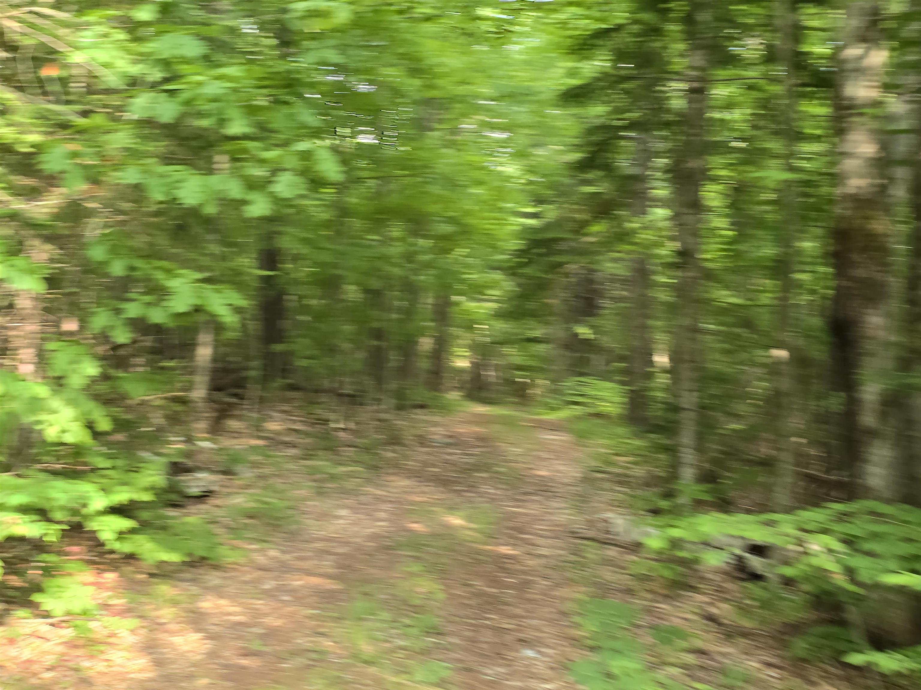 882 Morse Road Woodsville, NH 03785 - Photo 33 of 40