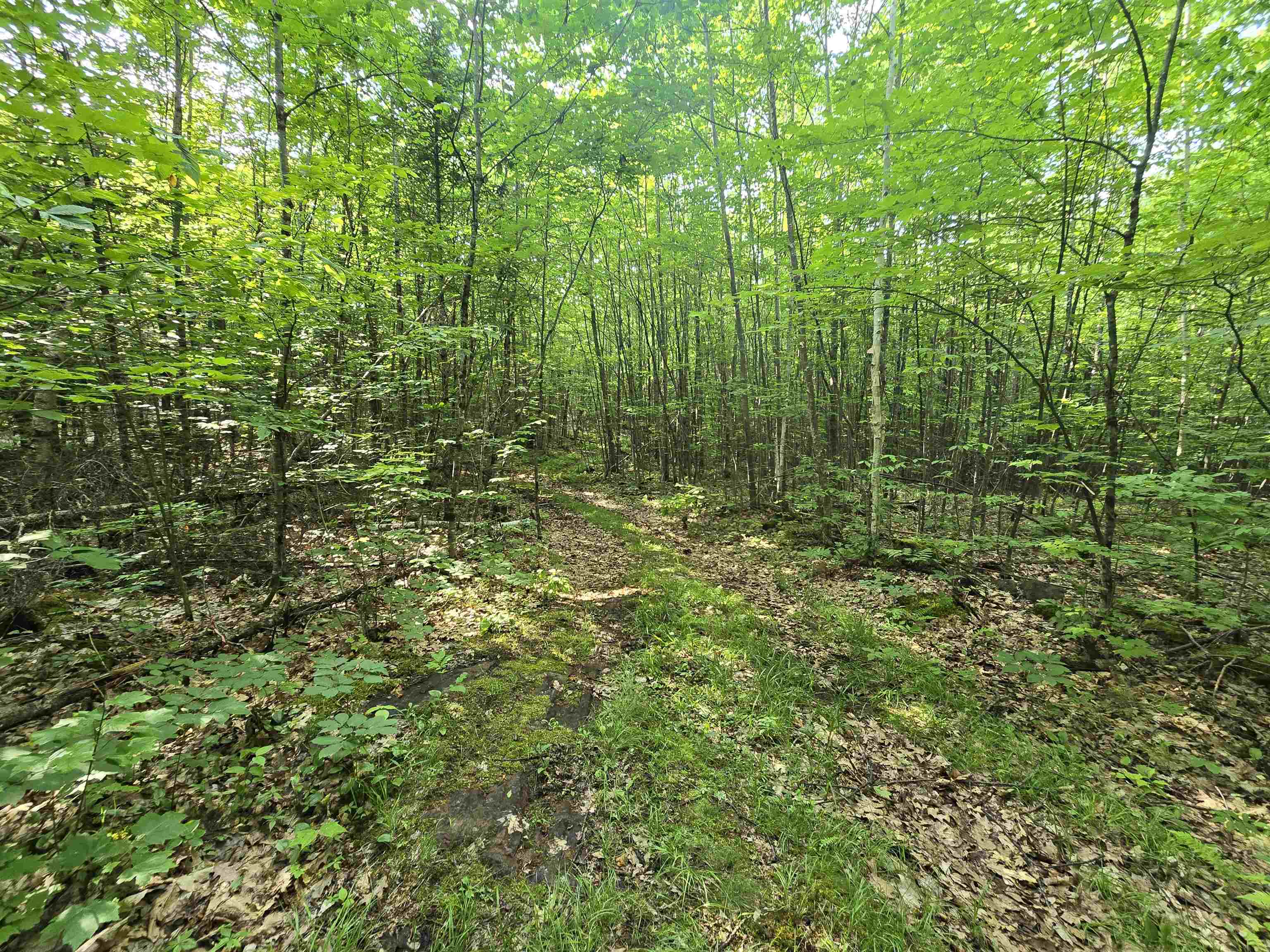 882 Morse Road Woodsville, NH 03785 - Photo 34 of 40