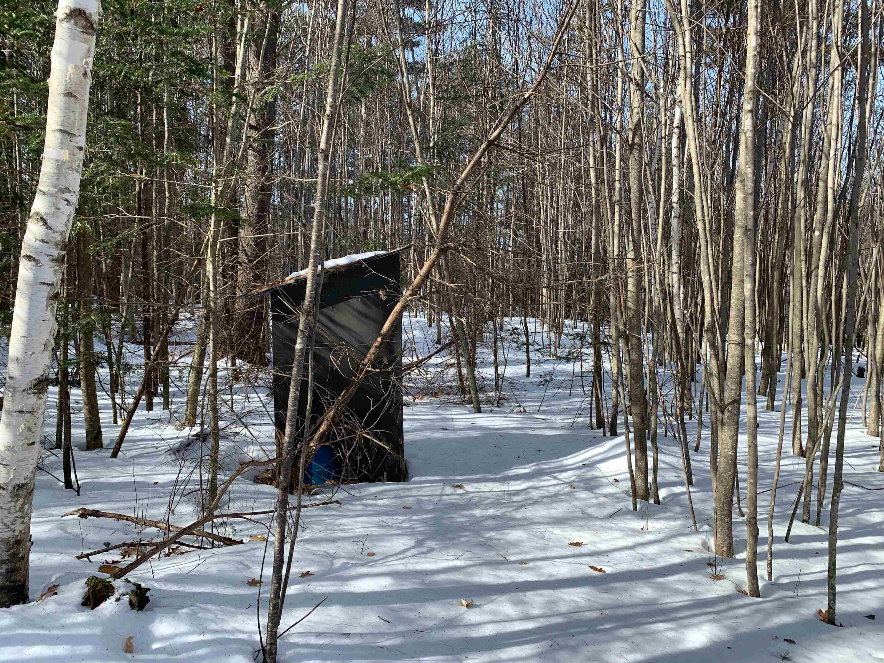 882 Morse Road Woodsville, NH 03785 - Photo 37 of 40