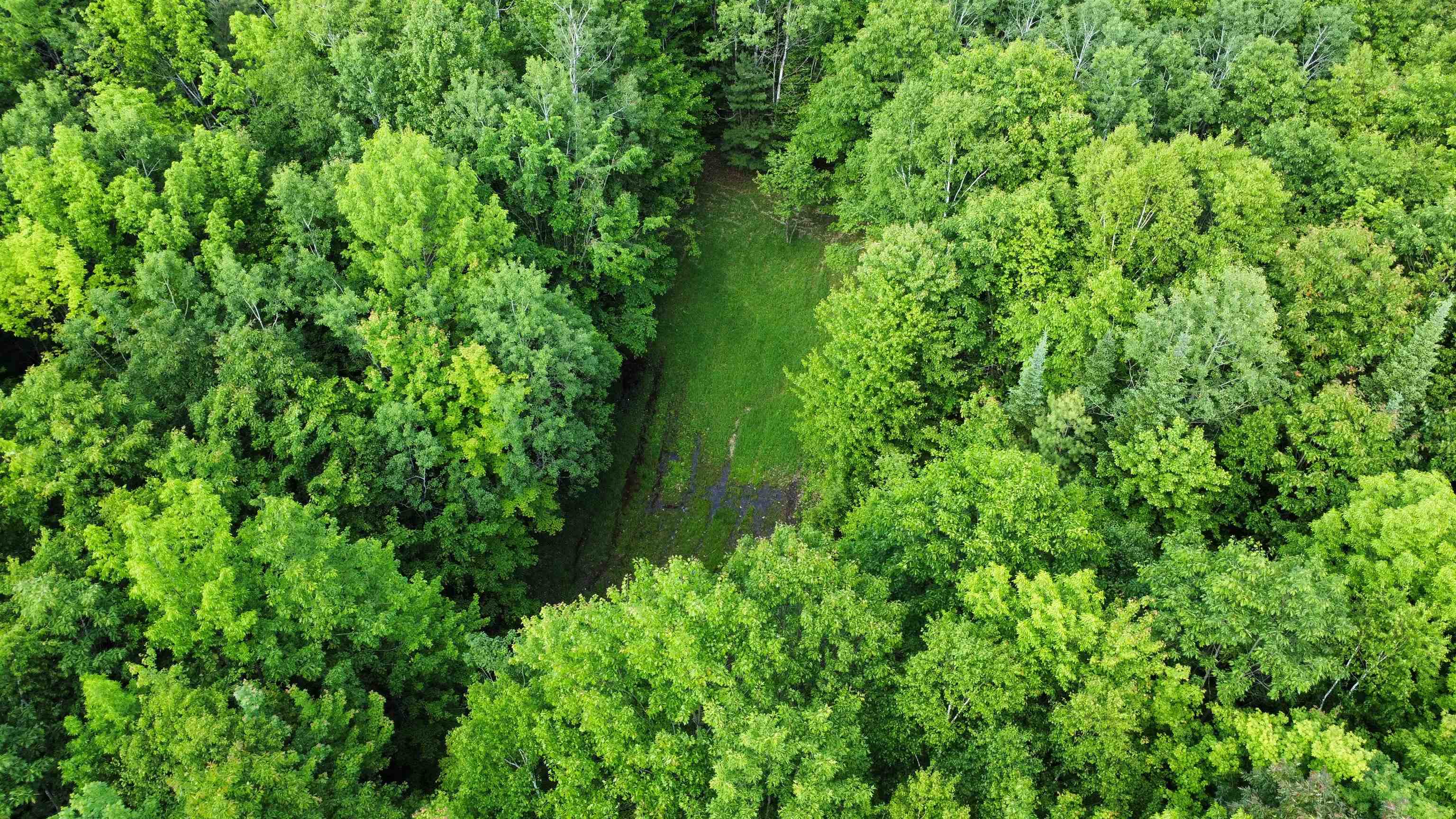 882 Morse Road Woodsville, NH 03785 - Photo 38 of 40