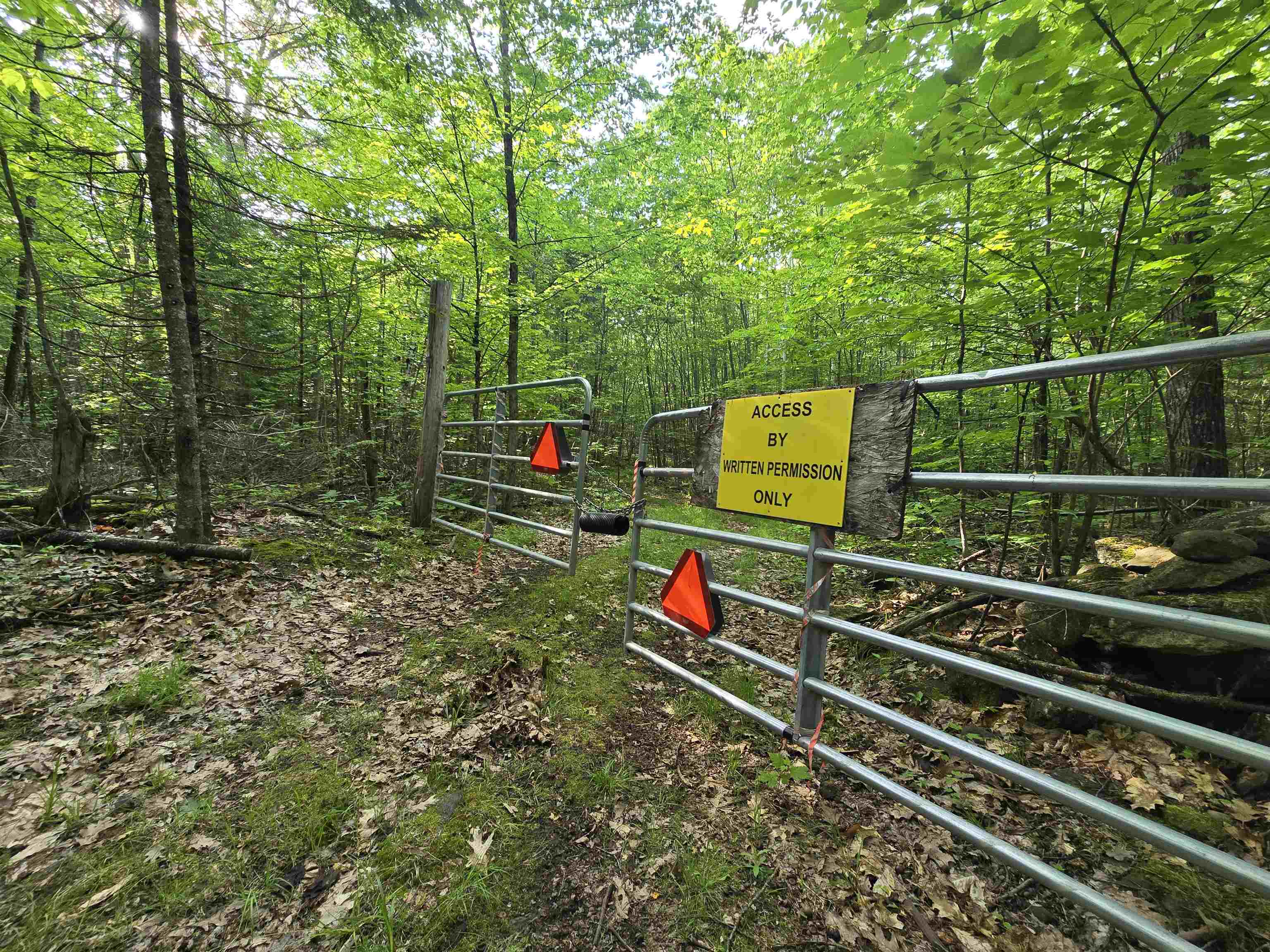 882 Morse Road Woodsville, NH 03785 - Photo 4 of 40