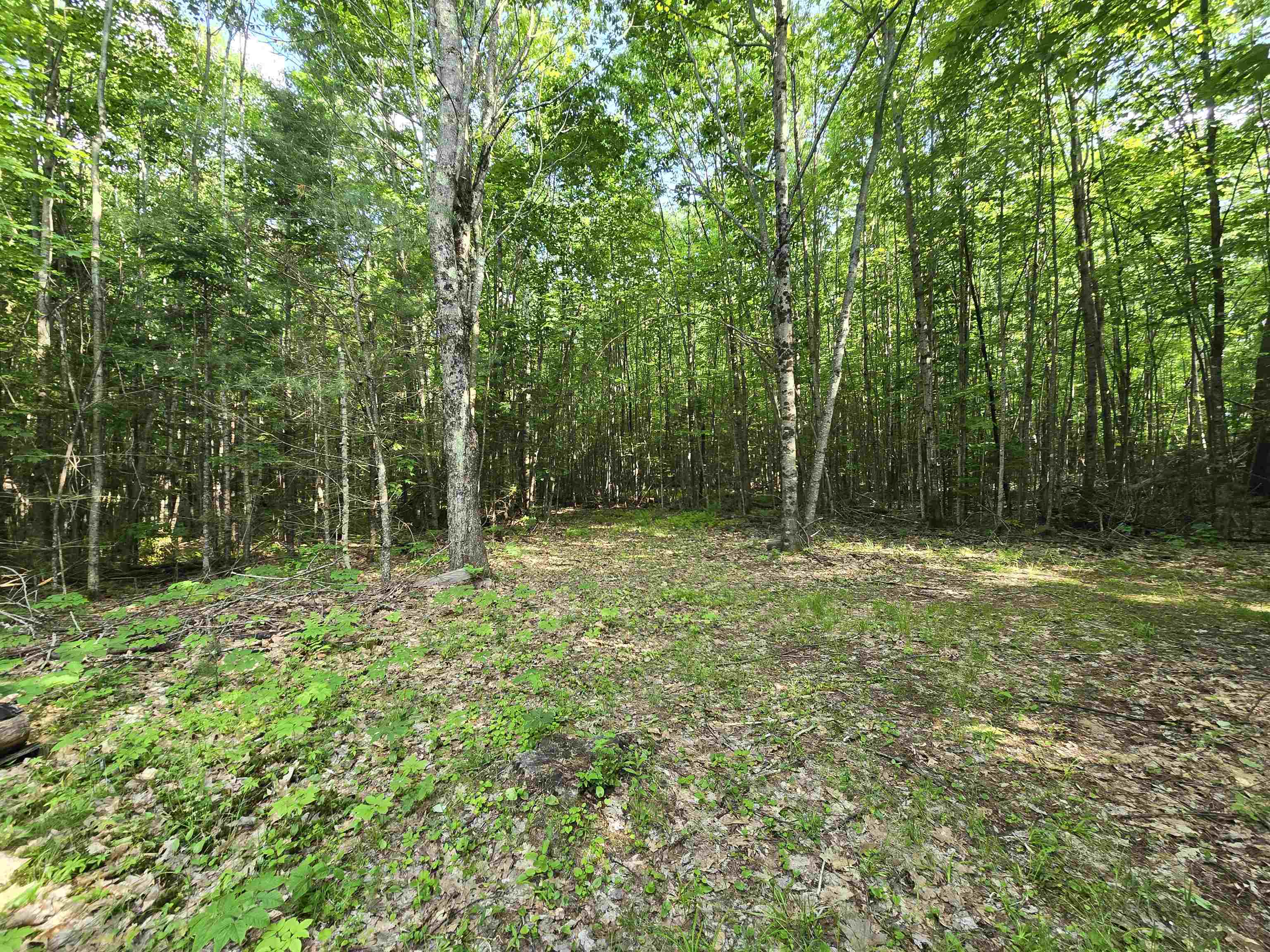 882 Morse Road Woodsville, NH 03785 - Photo 10 of 40