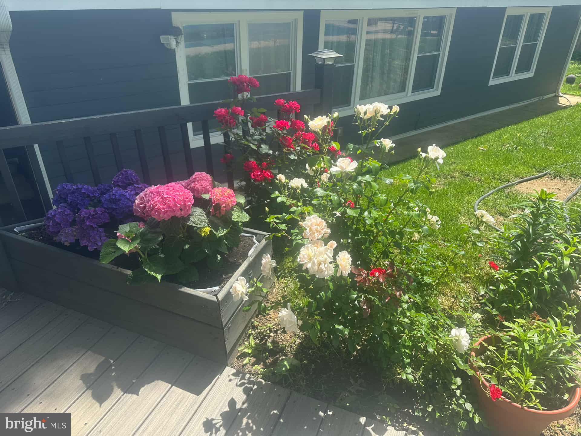 245 Trenton Road Fairless Hills, PA 19030 - Photo 36 of 43 a flower plants in front of a building